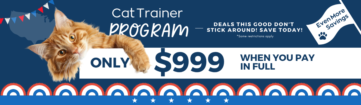 Sale Banner